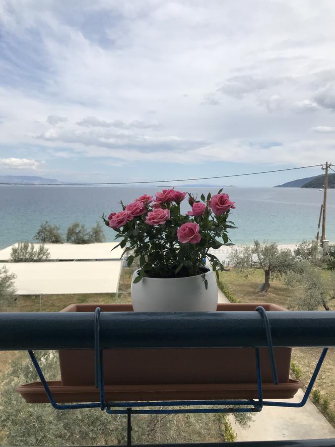 Amalfi Complex Appartement Kato Almiri Buitenkant foto